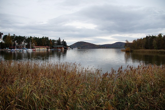 Máchovo jezero